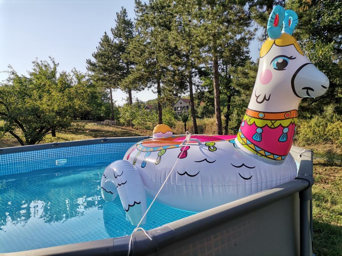 Borsko Jezero Villa Dış mekan fotoğraf